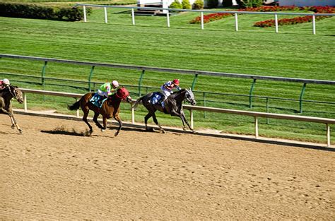 horse racing gallop|free horse picks for today.